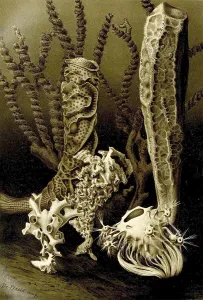 Glass (Hexactinellida) sponge, a class from the phylum