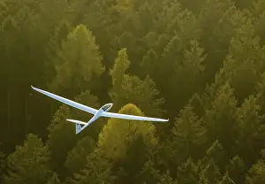 Glider, two-seater, Duo Discus D-5443 over autumn forest