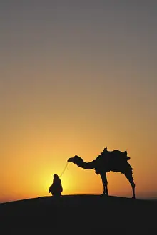 Category Historic EN Prints: Glorious sunrise man with camel on sand dunes