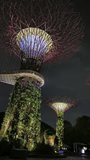 Framed Print : Glowing supertrees at night with dense vegetation and fine lighting