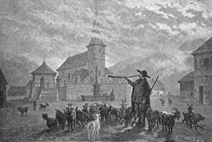 Goat herder in a village in Alsace