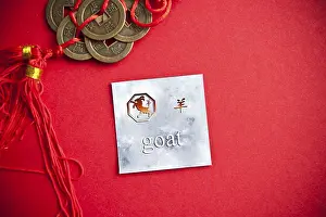 Goat zodiac card with Chinese character on a red background with coins