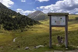 God da Tamangur, highest contiguous Swiss stone pine forest in Europe