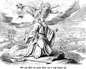 God shows Moses the Promised Land