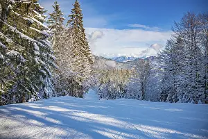 The Goetschen piste in Berchtesgadener Land