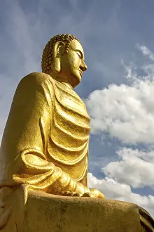 Gold Buddha, Vietnamese pagoda