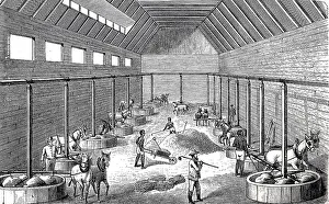 Gold Mining 1890nische Amalgammuehle