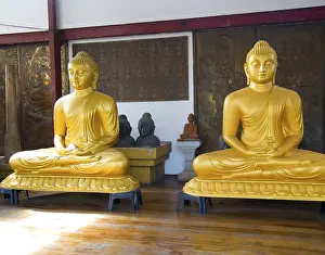 Golden Buddhas Gangaramaya Buddhist Temple