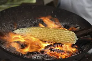 Category Historic EN Prints: Golden corns, maize kept on coal fire orange flames for roasting scorching barbecue