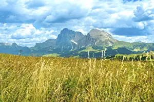 Category Mountain Landscapes Prints: Golden meadow blowing in the wind with the sassolungo and sassopiatto mountains in the background