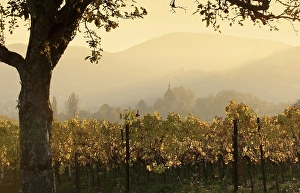 Golden October
