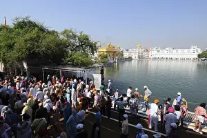 Golden temple, amritsar, punjab, india, asia