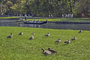 Gondola grey geese and visitors in Nymphenburg Palace Park