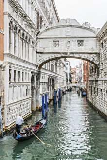 Gondola guide, old town, historical, canal, gondola, tourism, travel, city trip, architecture, white, Venice, Italy, Europe