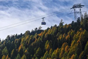Gondola lift floats over larch forest