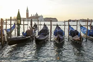 Gondolas in front of the Piazzetta