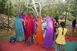 Gooseberry tree pooja, pathmeda