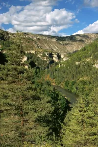 Gorge of the River Tarn, Gorges du Tarn
