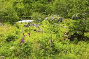 Gorgeous mountainous Norway. Journey to the fabulous northern country in the middle of summer