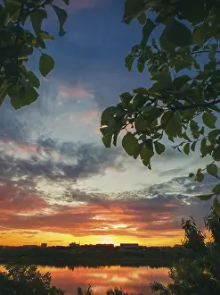 Gorgeous summer sunset as seen from the garden among the green trees