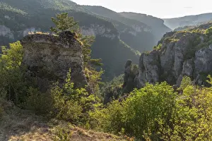 Gorges of Jonte in Cevennes National Park