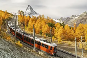 Framed Print : Gornergrat Railway Train, Matterhorn Mountain and Yellow Golden Larches in Autumn