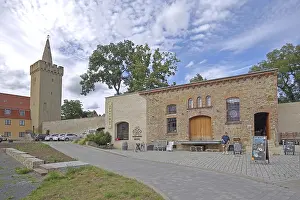 Gothic raven defence tower and defence tower