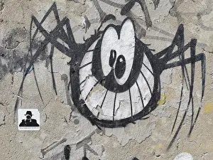 Graffiti of a stylised spider (araneae) on a weathered urban wall