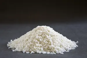 Grains, basmati rice oryza sativa on grey background 20-May-2010