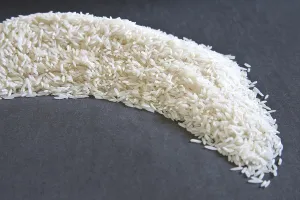 Grains, basmati rice oryza sativa spread on grey background 20-May-2010