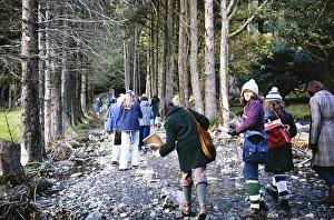 Grammar school girls doing geographical fieldwork, Great Britain 1970s Girls walking with clipboards in a wooded area 1974