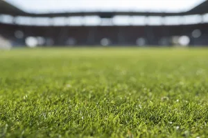 Grass at football stadium during sunny day, Poland