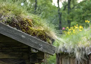 Detail of grass roof on wooden house