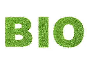 Grass word BIO, ecology eco friendly organic concept