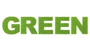 Grass word green, ecology eco friendly concept character type