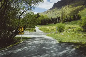 Gravel road in a rural setting with trees and signposts
