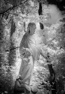 Graves in Highgate Cemetery London in black and white