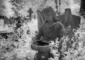 Graves in Highgate Cemetery London in black and white