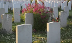 Gravestones, war graves, soldiers graves