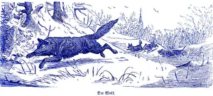 Gray wolf (Canis lupus), Hubertus hunting and hunting scenes