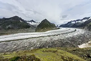 The Great Aletsch Glacier in the Swiss Alps