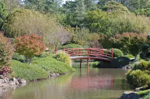 Great image of a beautiful japanese garden