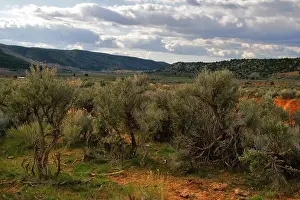 Great landscape of Utah state. USA