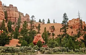 Great landscape of Utah state. USA