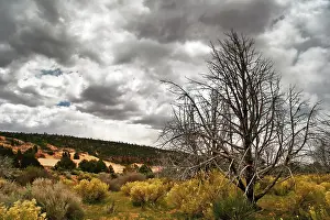 Great landscape of Utah state. USA