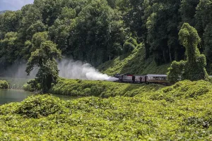 Great Smoky Mountains Railroad steam engine 1702 pushing the train from behind in reverse during an excursion