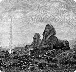Great Sphinx of Giza, history of mankind, depiction of a lion with human head, erected in the 4th dynasty about 2500 BC, flock of sheep, Egyptology, excavation, archaeology, Africa, Egypt, historical illustration 1880, Africa
