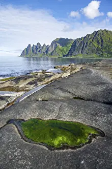 Green algae in a tidal pool, rocky coast of Tungeneset