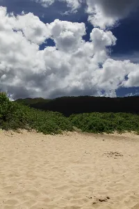 Framed Print : Green bush on top of a sand dune overlooked by mountain Framed Print : Green bush on top of a sand dune overlooked by mountain