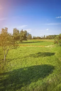 Green Clearing And Cloudy Sky